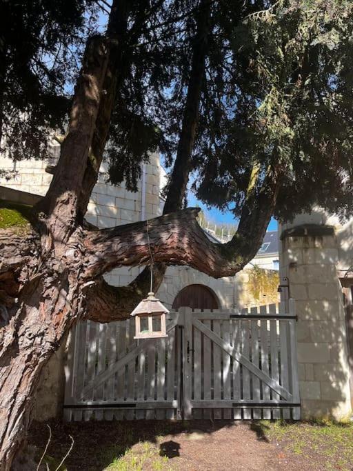 Le Relais De L'Artiste Villa Turquant Bagian luar foto